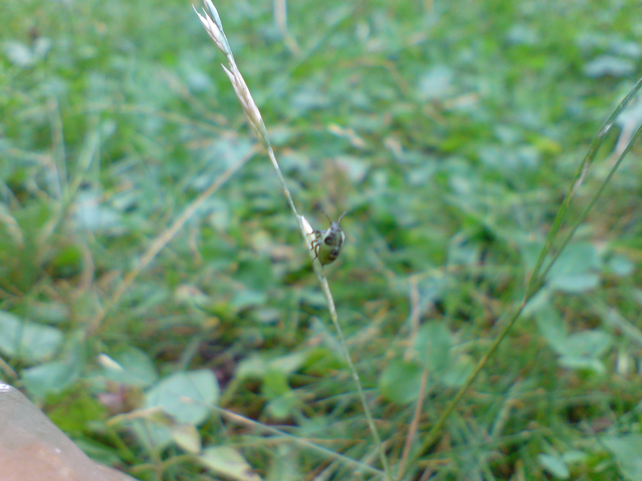 DSC00136.JPG