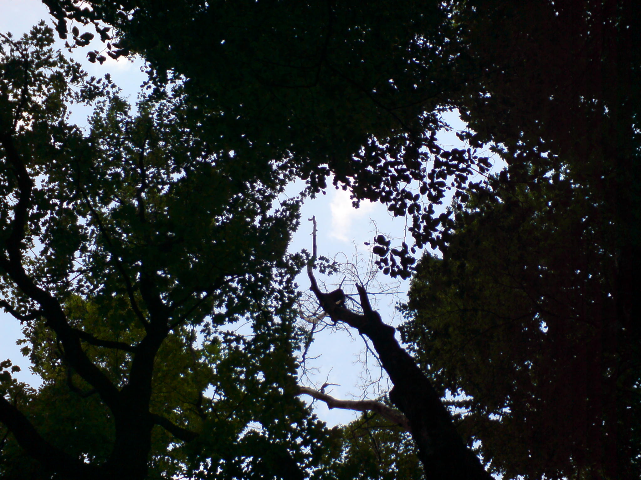 DSC00154.JPG