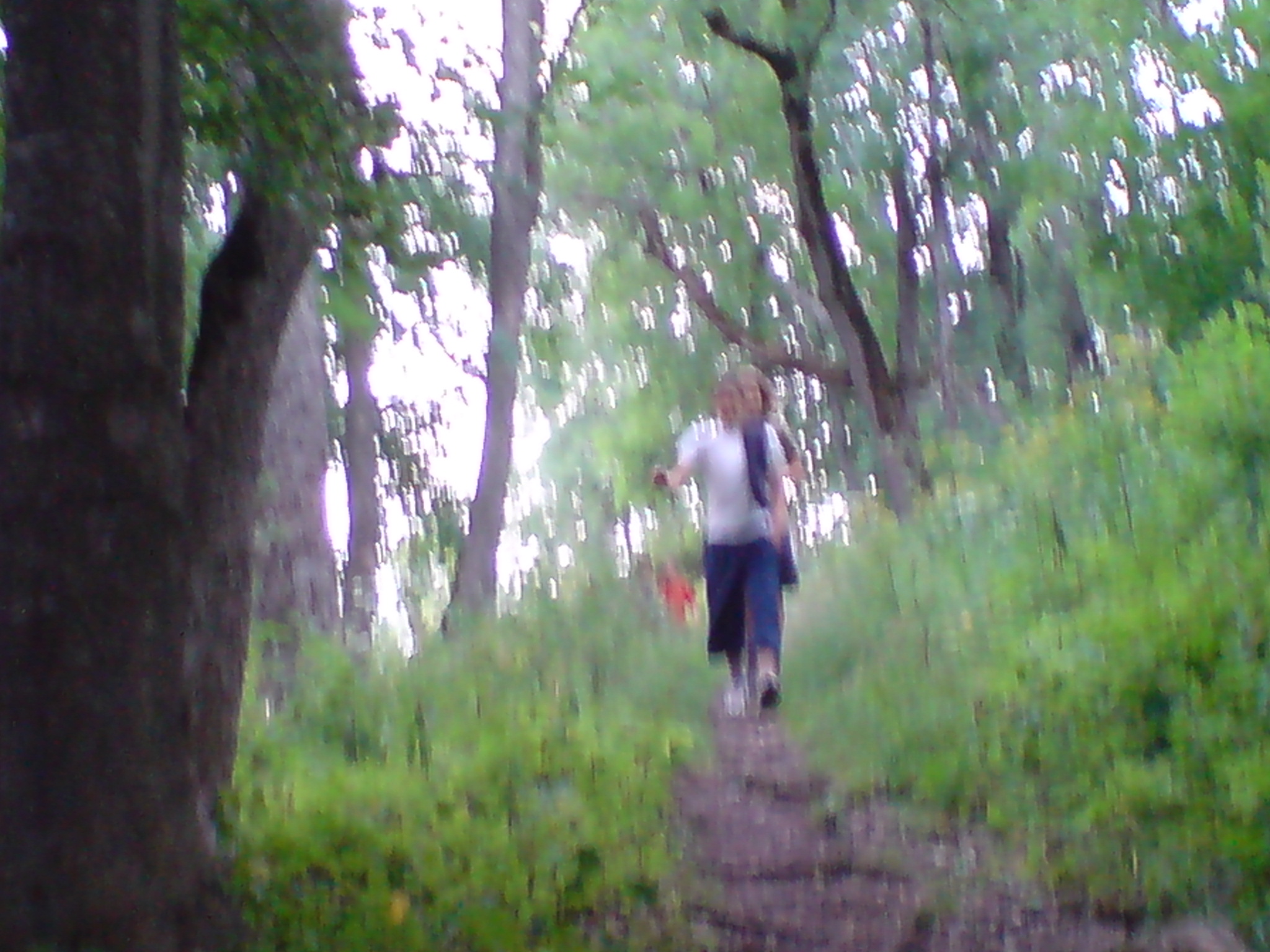 DSC00155.JPG