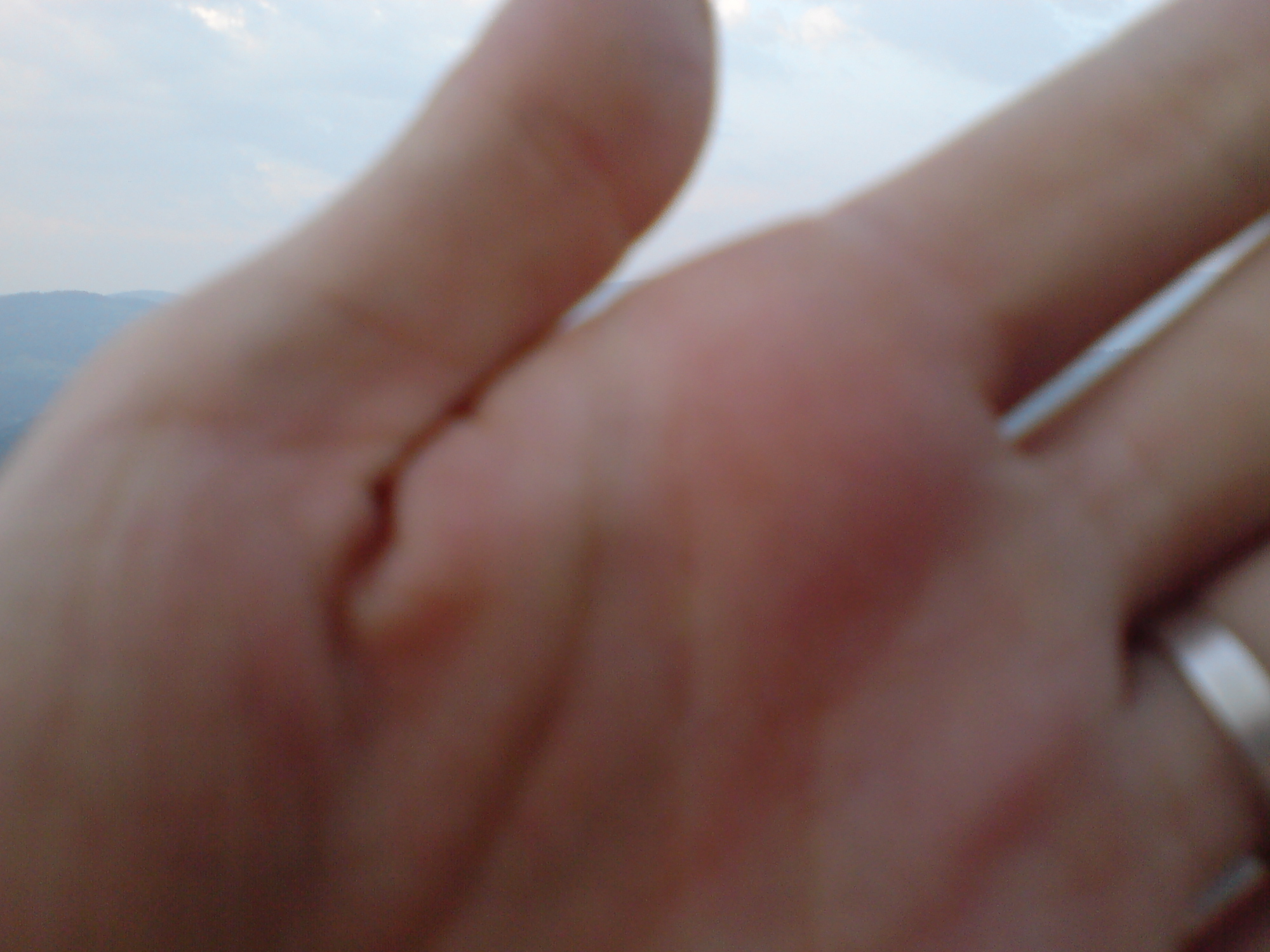 DSC00158.JPG