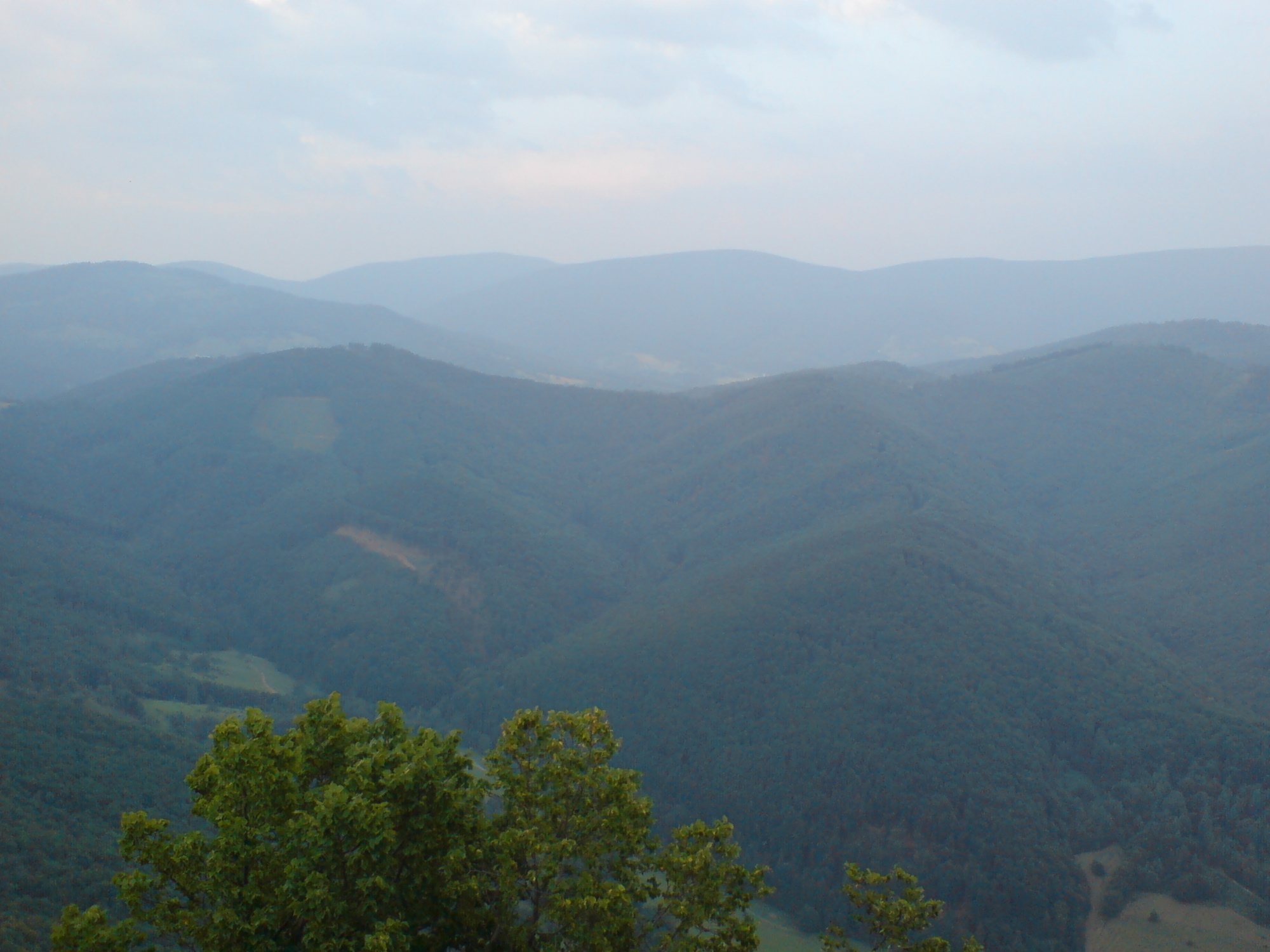 DSC00159.JPG