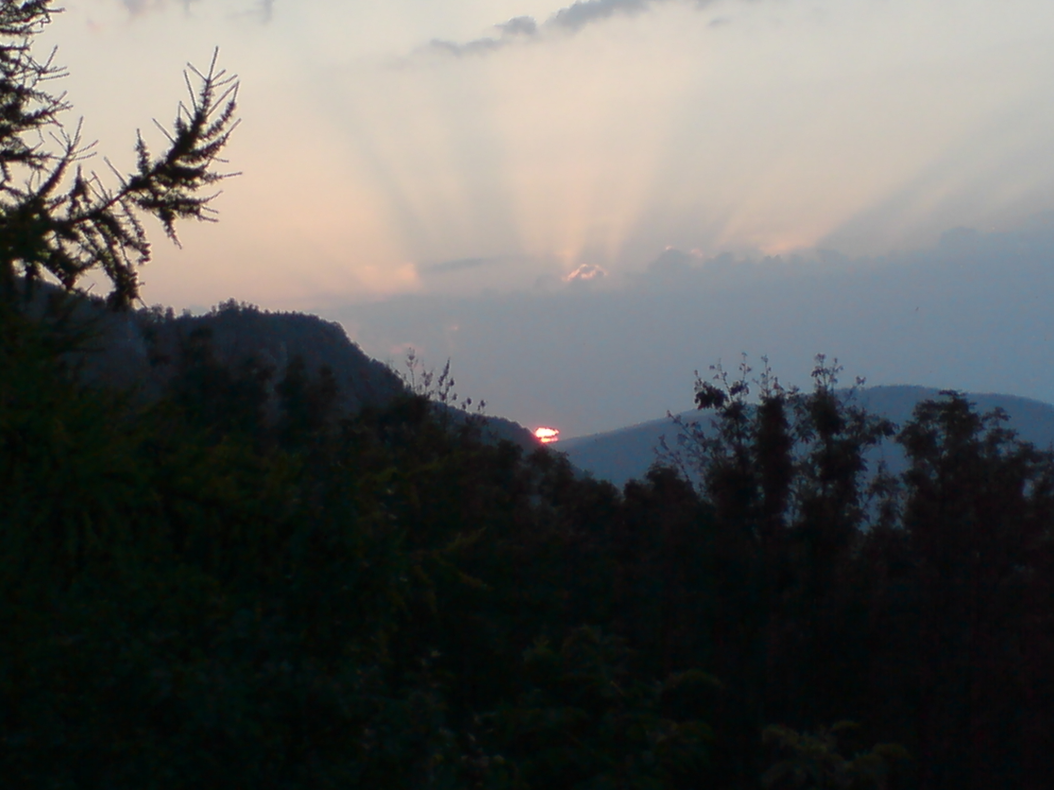 DSC00133.JPG